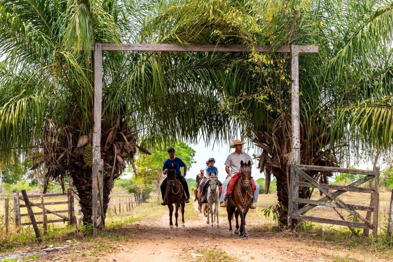 Pousada Fazenda Xaraes Todos os Santos Exterior foto